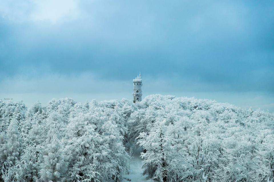 Villa Chalupa Luzicke Hory Dolni Svetla Exterior foto